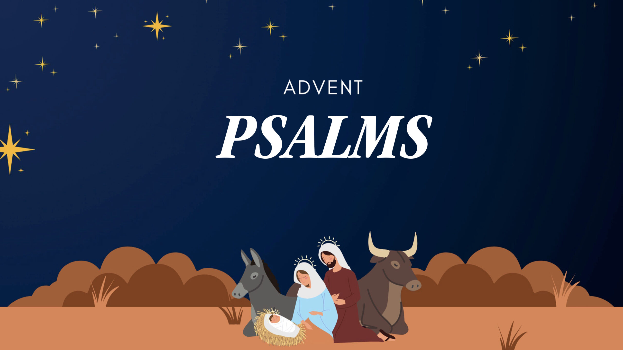 Advent: The Lord Is Our Refuge